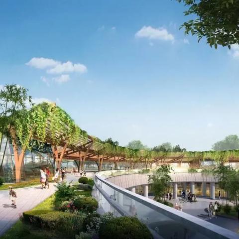 乐平体育直播，活力之城的新赛道