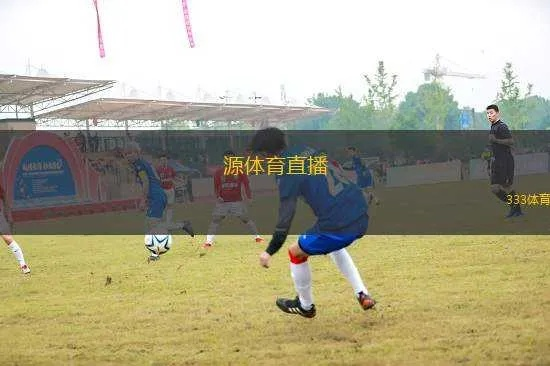 大埔，活力之城，体育直播点燃城市激情