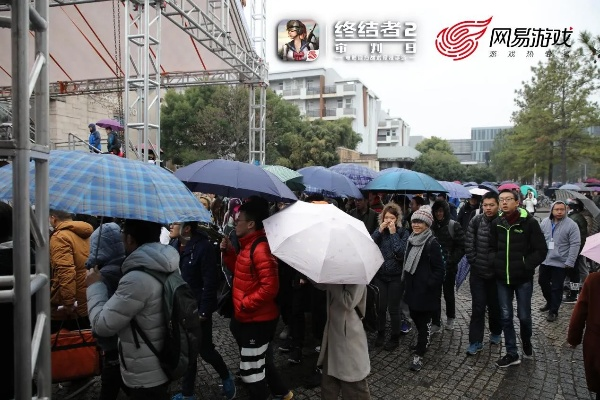 从围观到参与，抓饭直播重构体育直播的互动生态